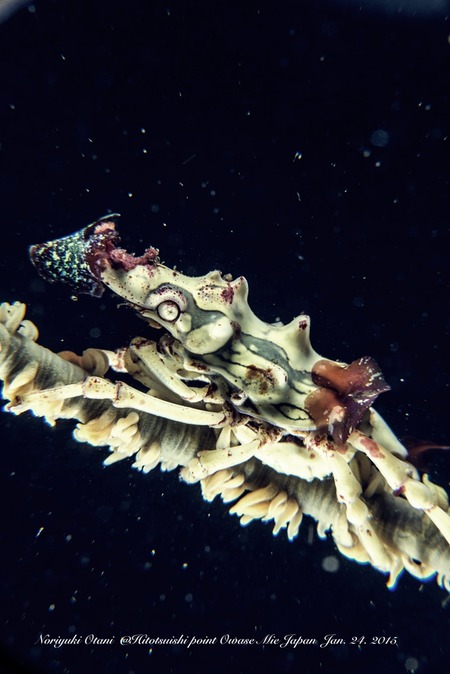 !cid_348C1572-4D2C-45A0-9F5A-ED48EA7A29F9