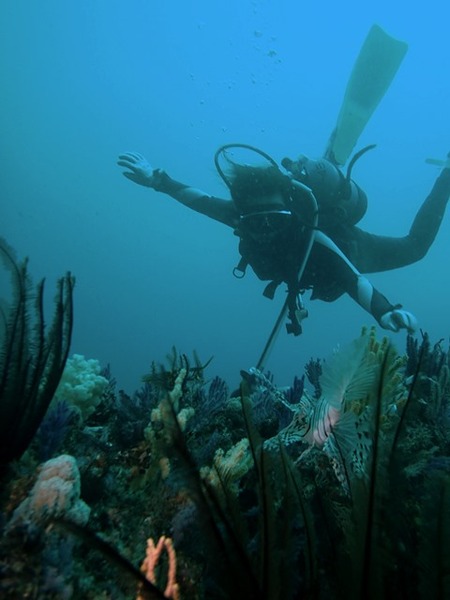 diver
