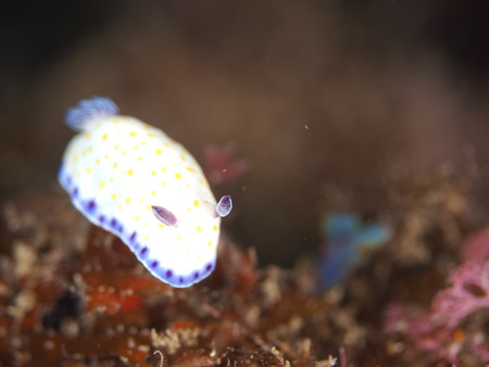 P6252360