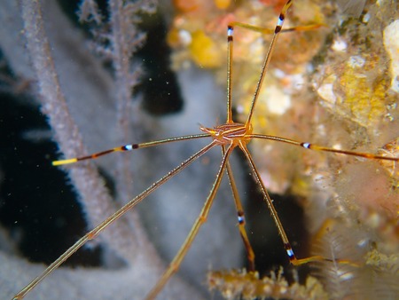 写真 2015-04-29 12 54 14