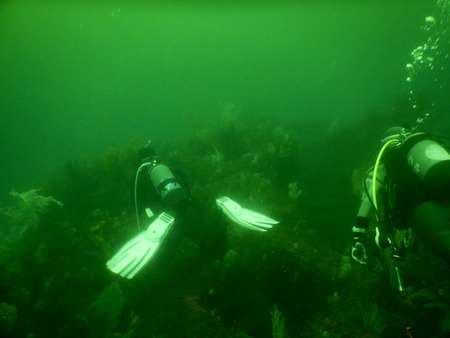 DSCN3141