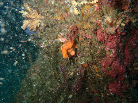 P9270102