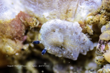 !cid_A646F5F0-A02E-407E-AFCE-E6A11E5C8C0F