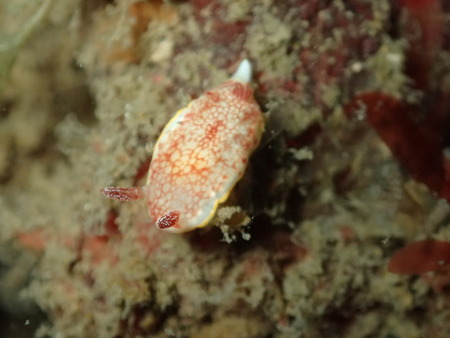 P1270150