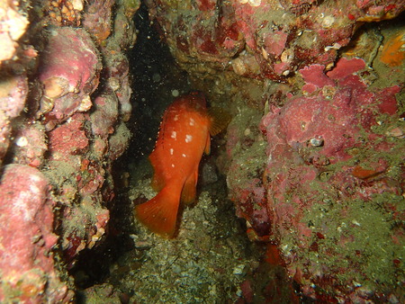 P6070144
