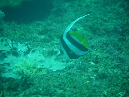 P1130410