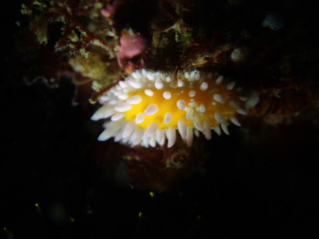 P3220958