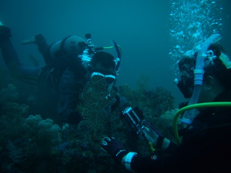 写真 2016-11-19 10 32 36