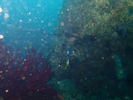 P6070124