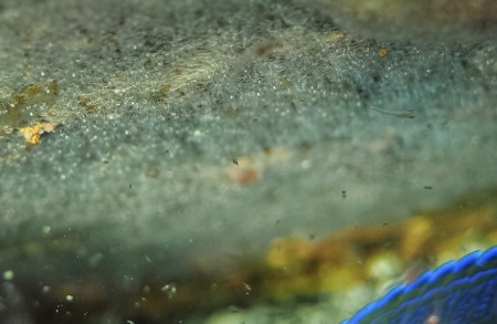 写真 2016-07-30 19 50 12