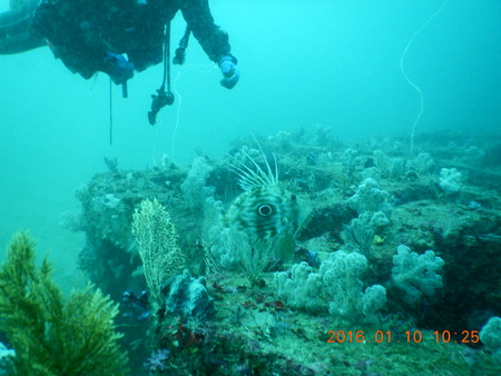 DSCN1614