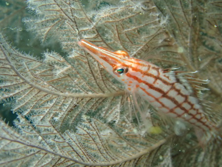 P1270084