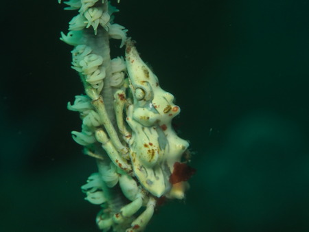 P2270033