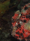 P6171831