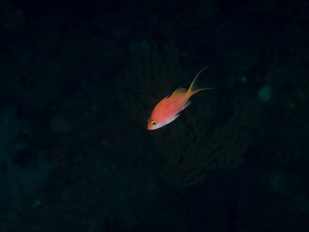 写真 2016-11-26 10 50 12