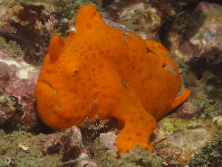 P2270097