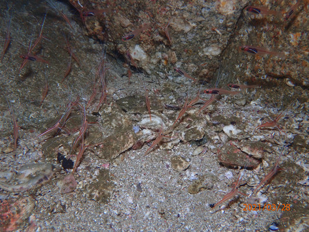 P3280809