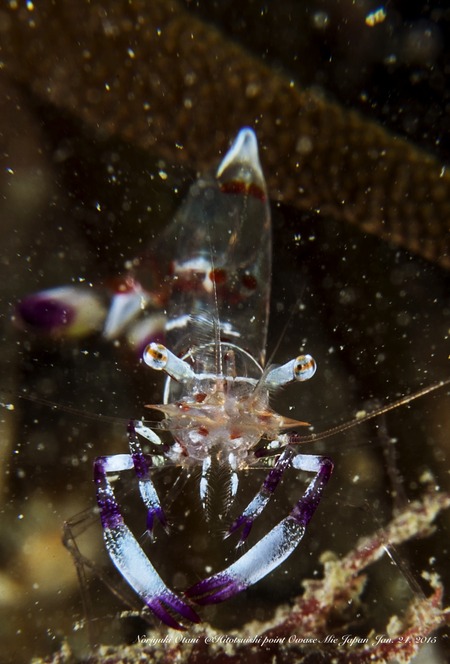 !cid_78442F09-4024-47AE-BD98-A504433B95DE