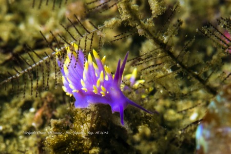 !cid_A85C90AA-9CC5-40DD-85EA-522727338B6D