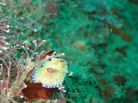 photo-output_2