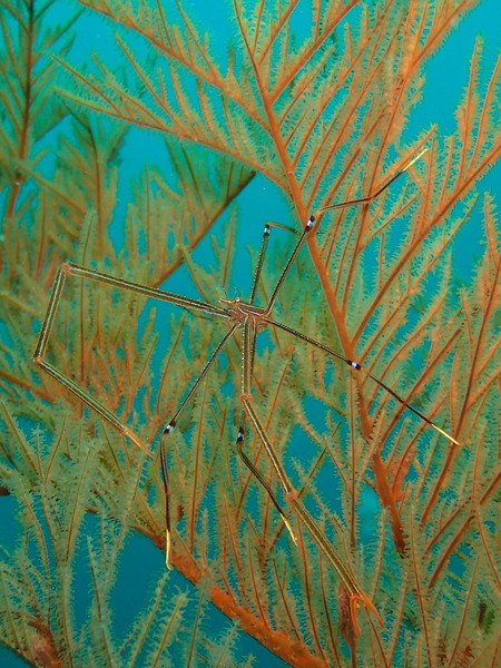 P5200030