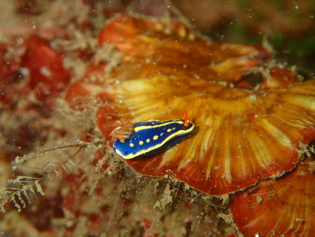P6070105