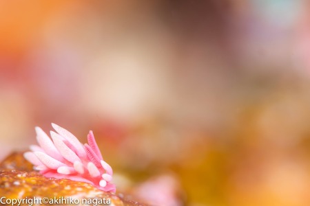 IMG_5592