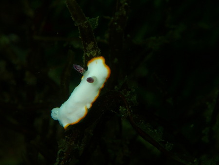 P7180039
