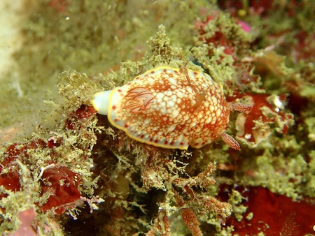 P3290042