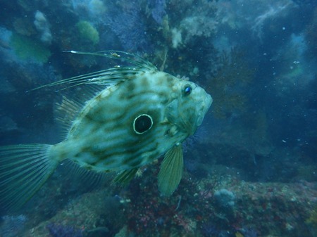 photo-output_5
