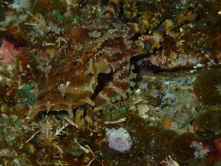 PB050180