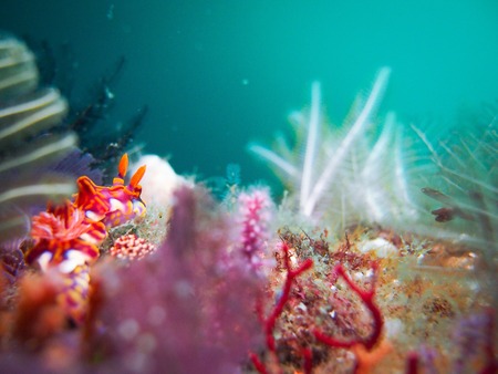 写真 2016-06-19 12 45 57