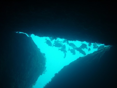 P1130359