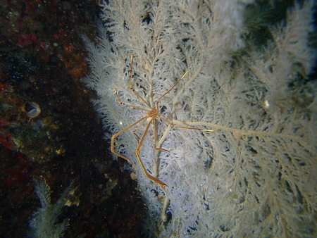P6070107