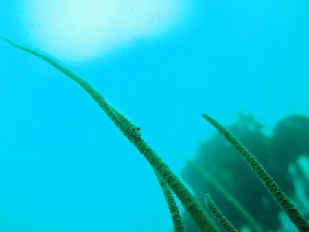 P4233032
