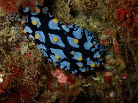 PB050161