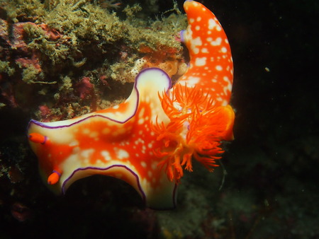 P3210044