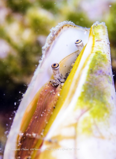 !cid_AC402965-E667-4CD9-AAB4-6622EA95CA5F