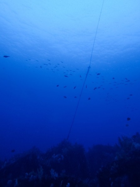 写真 2017-01-30 11 07 41