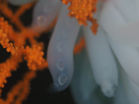 P6252369