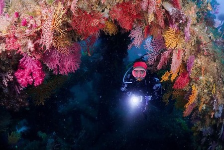 96A5FB59-309C-4C02-B7DC-D58E33EC10A5