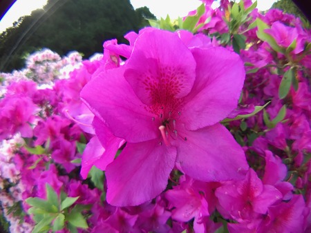 ファイル 2017-04-29 15 58 16