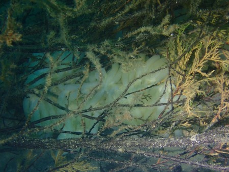 IMG_4887