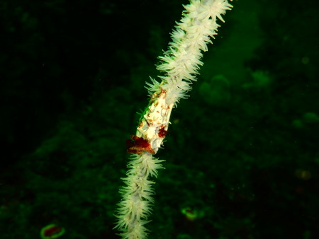 DSCN3157