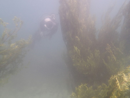 P5271468