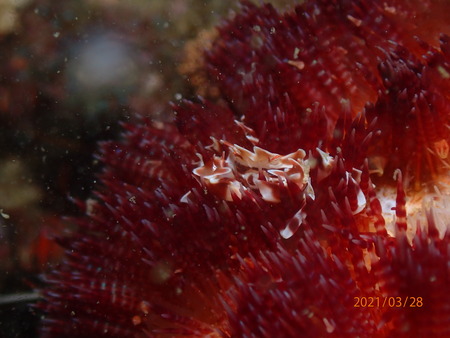 P3280831