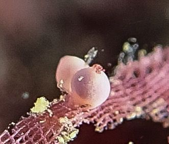 写真 2017-01-30 11 14 54