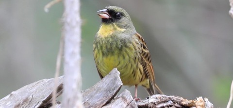 691E1DAF-A1F5-4704-B0F6-B414BAD72D80