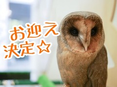 5726A239-FDCE-4FD2-905D-527A4E85DC8A