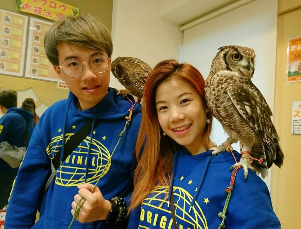 フクロウを感じるなら 肩乗せ フクロウのみせblog フクロウを感じるなら 肩乗せ フクロウのみせblog